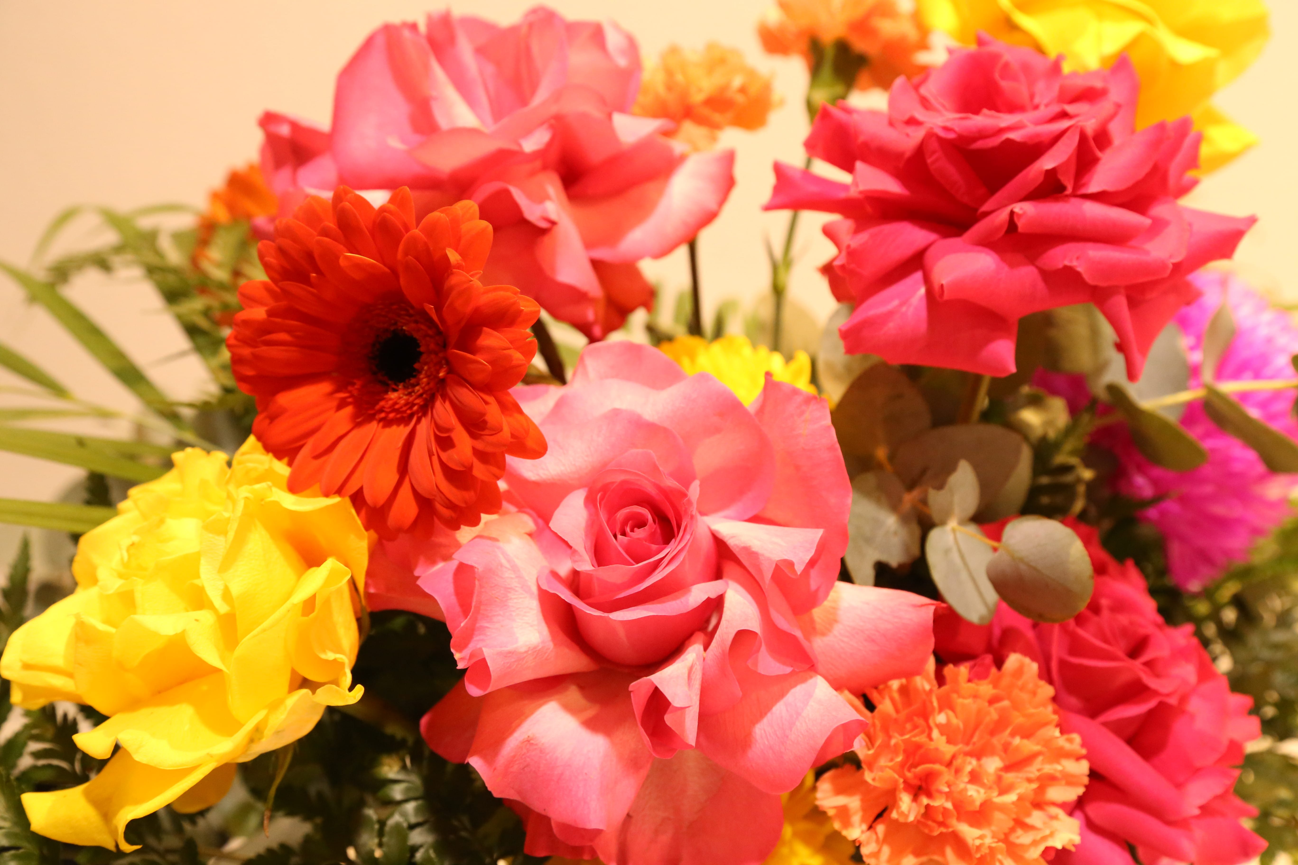 Mothers Day gallery